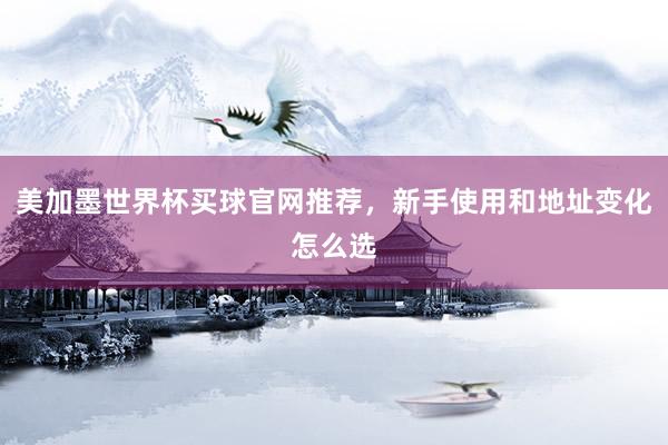 美加墨世界杯买球官网推荐,新手使用和地址变化怎么选